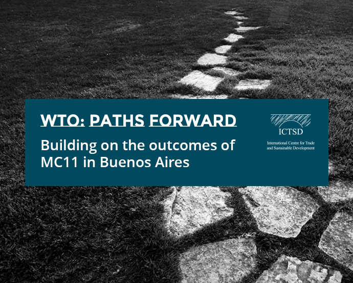 WTO: Paths Forward